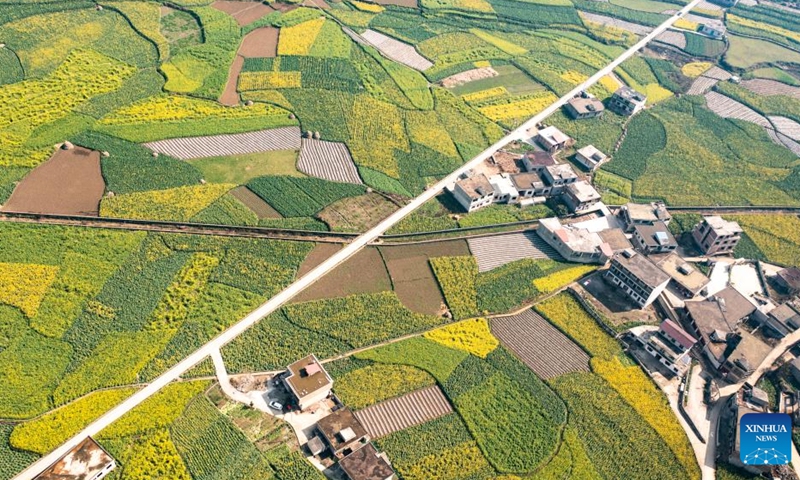 Aerial photo taken on March 3, 2022 shows the scenery of cole flowers in Mugang Township of Liupanshui City, southwest China's Guizhou Province.Photo:Xinhua