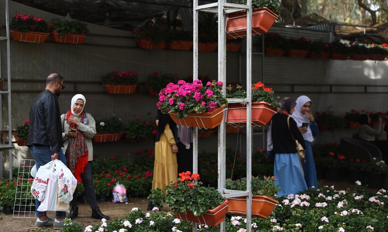 People select flowers during the flora expo held in Giza, Egypt, on March 3, 2022.(Photo: Xinhua)