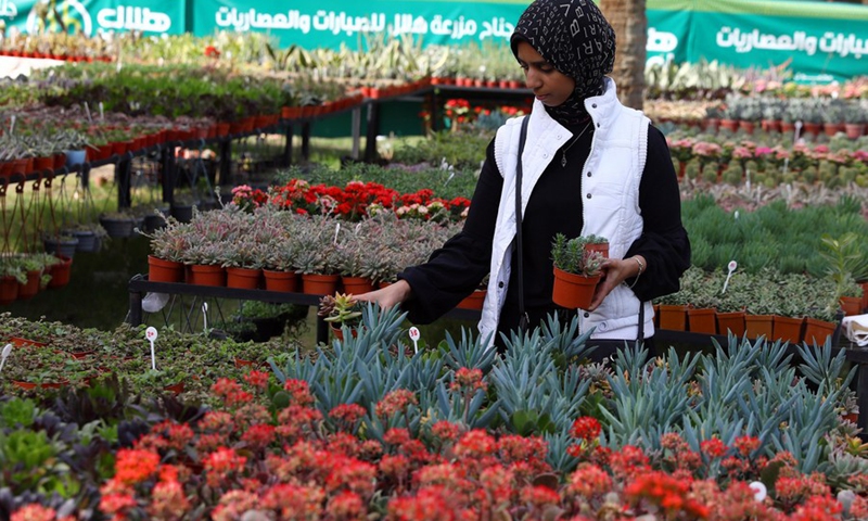 A woman selects flowers during the flora expo held in Giza, Egypt, on March 3, 2022.(Photo: Xinhua)