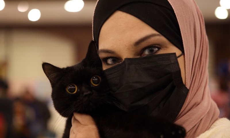 Real catwalk at Jordan’s cat beauty contest - Global Times