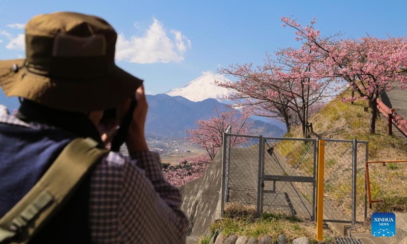 A man takes photos of spring scenery at the Nishihirabatake Park in Kanagawa, Japan, March 6, 2022. (Photo by Gong Xiuxi/Xinhua)