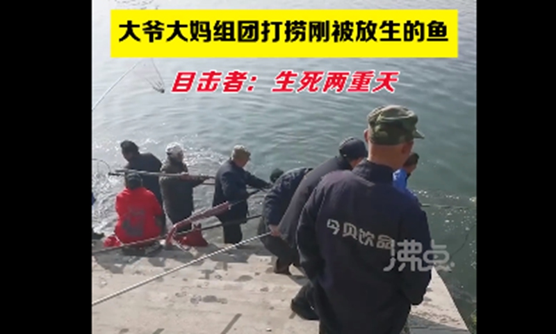 Old people catching fish after a group of citizens releasing the fish. Screenshot of Feidian video