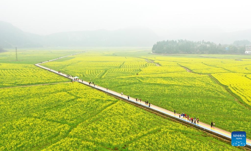 Aerial photo taken on March 6, 2022 shows cole flower fields in Yangmeishan Township of Yizhang County, central China's Hunan Province. (Photo by Huang Chuntao/Xinhua)

