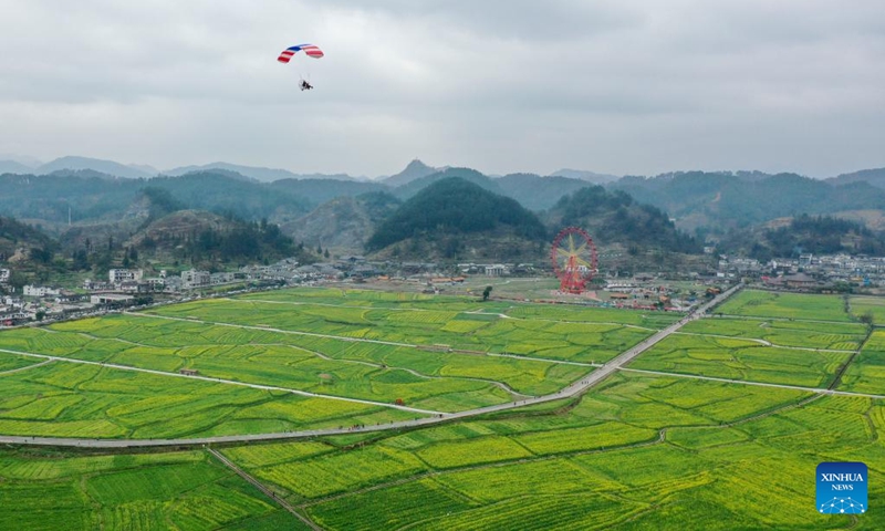 Aerial photo taken on March 6, 2022 shows cole flower fields in Panjiang Township of Guiding County, southwest China's Guizhou Province. (Photo by Yin Gang/Xinhua)