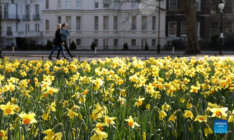 People walk past a park in central London, Britain, March 7, 2022. (Xinhua/Li Ying)