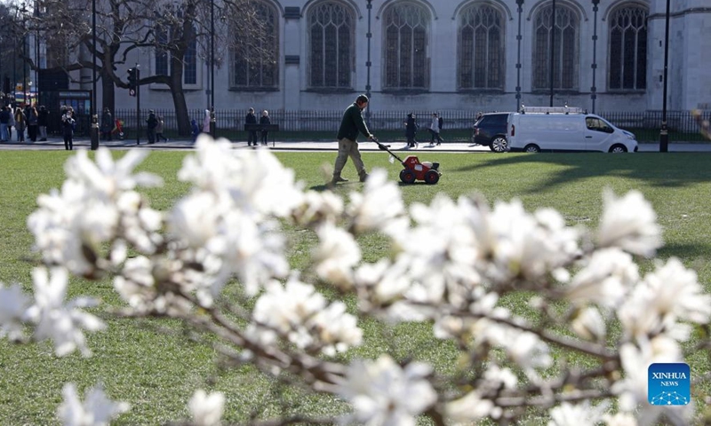 A worker mows the lawn outside Westminster Abbey in London, Britain, March 7, 2022. (Xinhua/Li Ying)