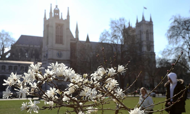 Flowers are seen outside Westminster Abbey in London, Britain, March 7, 2022. (Xinhua/Li Ying)