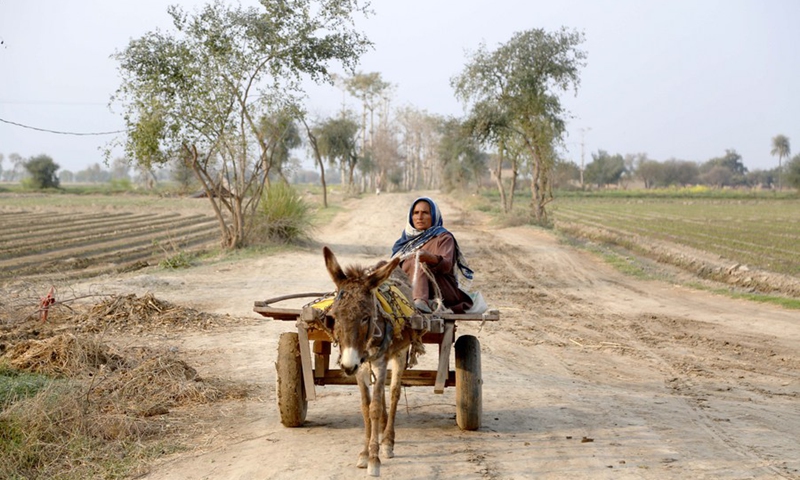 A woman rides on a donkey-cart on the outskirts of Pakpattan, in Pakistan's Punjab province, on March 4, 2022.(Photo: Xinhua)