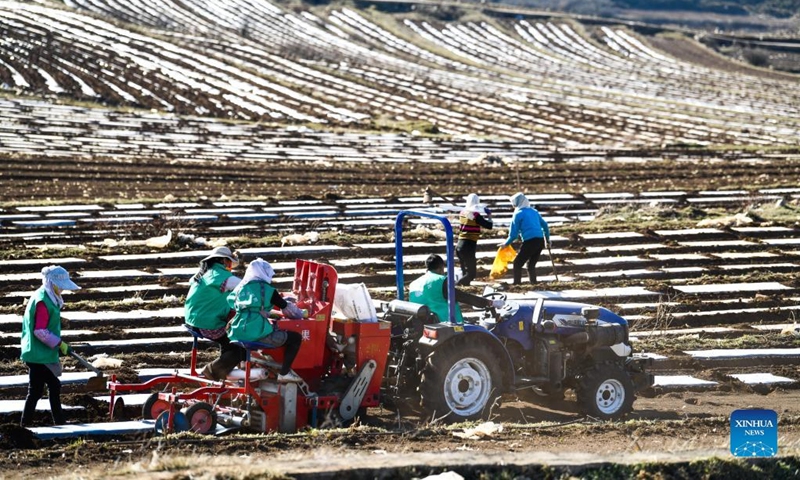 Farmers work in the fields in Weining, southwest China's Guizhou Province, March 8, 2022.(Xinhua/Yang Wenbin)