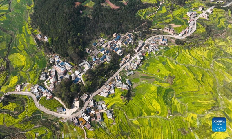 Aerial photo taken on March 7, 2022 shows the scenery of cole flower fields in Panzhou, southwest China's Guizhou Province.(Xinhua/Yang Wenbin)