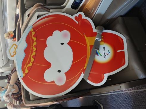 Shuey Rhon Rhon was on the plane to accompany a foreign staffer back home from Beijing. March 14, 2022. From: Twitter
