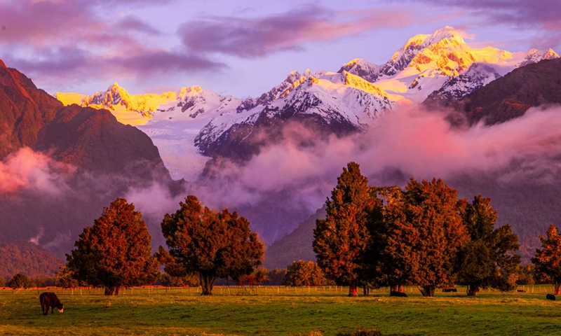 Photo taken on Oct. 12, 2020 shows a view of Fox Glacier on the west coast of the South Island of New Zealand.(Photo: Xinhua)