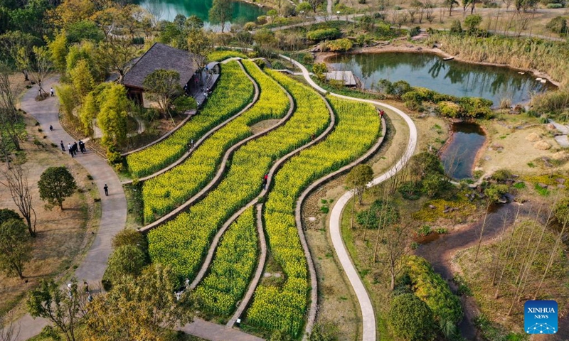 Aerial photo taken on March 10, 2022 shows the scenery of Guangyang Isle in southwest China's Chongqing. Photo:Xinhua