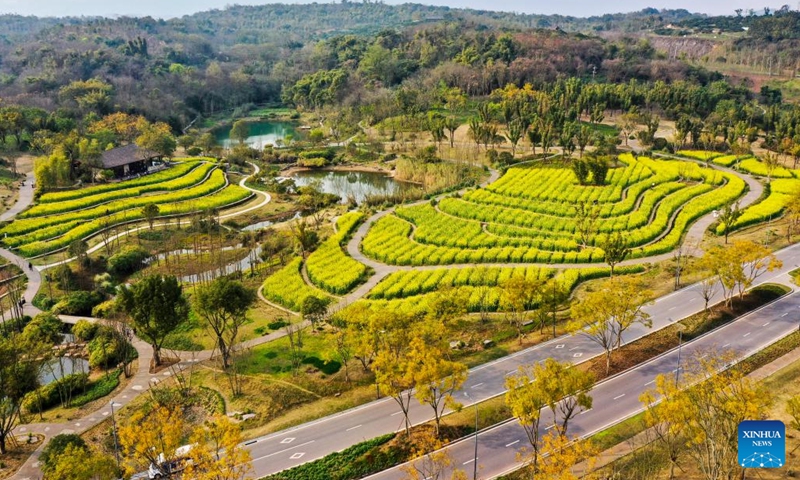 Aerial photo taken on March 10, 2022 shows the scenery of Guangyang Isle in southwest China's Chongqing. Photo:Xinhua
