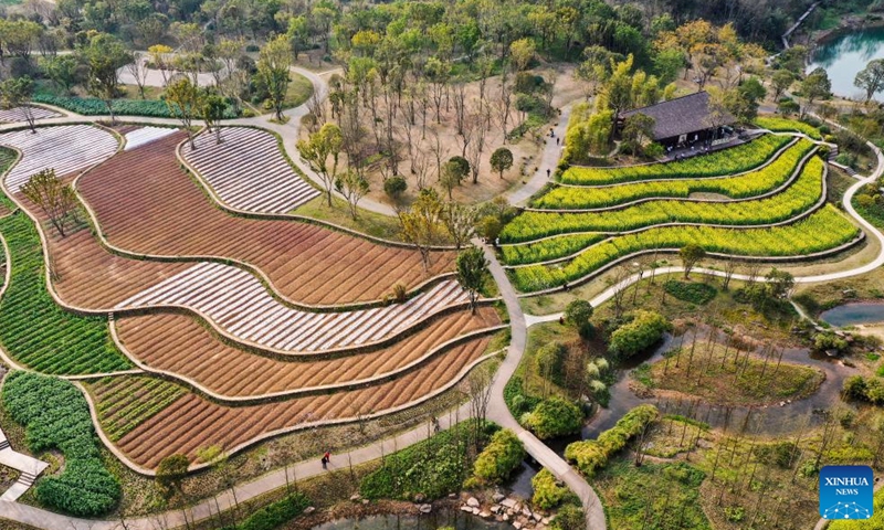 Aerial photo taken on March 10, 2022 shows the scenery of Guangyang Isle in southwest China's Chongqing. Guangyang Isle, the largest island on the upper Yangtze River, is rich in natural resources.Photo:Xinhua