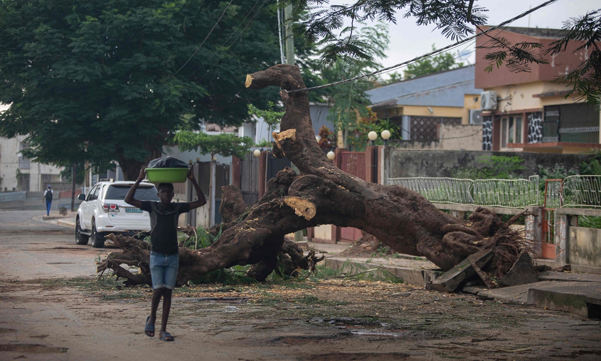 Trees are seen in the middle of a street after the passage of Cyclone Gombe in the Meconta district of Nampula Province in Mozambique on March 13, 2022. A cyclone struck northern Mozambique leaving at least eight people dead, the national institute for risk management said. Photo: VCG