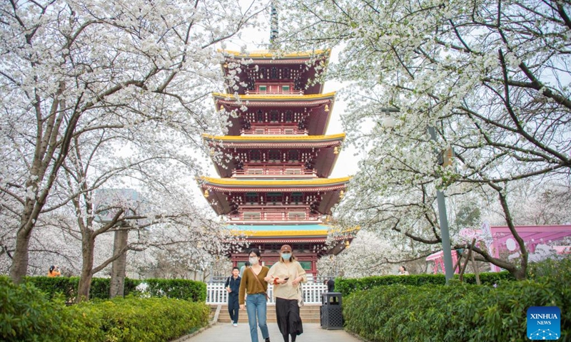 Tourists enjoy themselves at a cherry garden in Wuhan, central China's Hubei Province, March 14, 2022.(Photo: Xinhua)