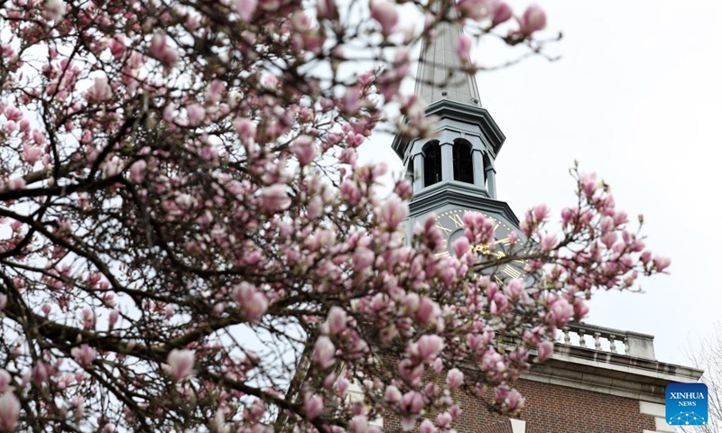 Flowers are seen in front of St James's Church in London, Britain, March 14, 2022. (Xinhua/Li Ying)