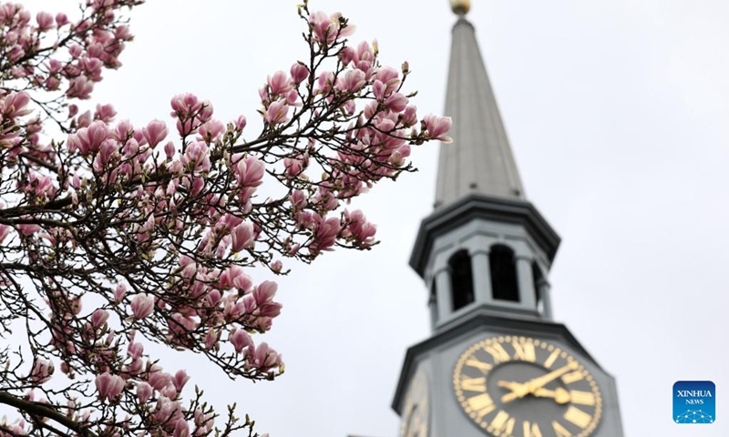 Flowers are seen in front of St James's Church in London, Britain, March 14, 2022. (Xinhua/Li Ying)