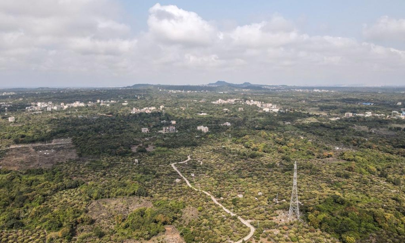 Aerial photo taken on March 15, 2022 shows litchi flowers in Yongxing Township of Haikou City, south China's Hainan Province. (Xinhua/Zhang Liyun)