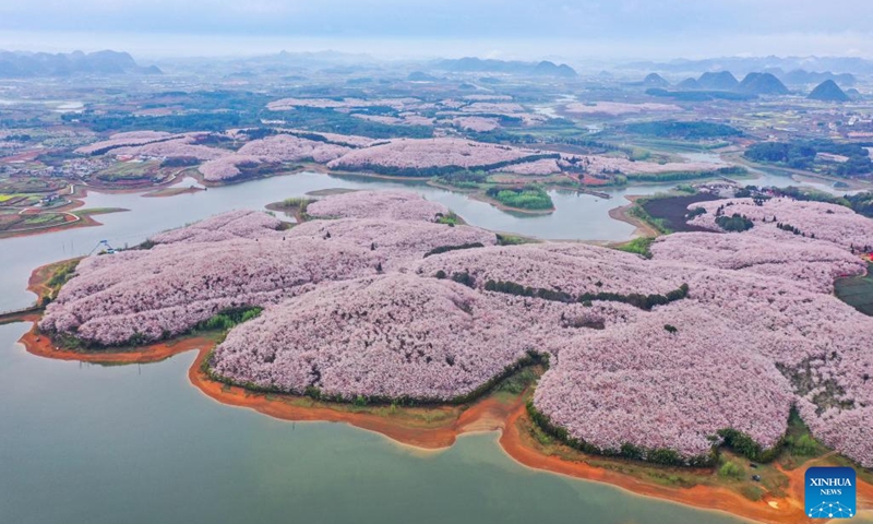 Aerial photo taken on March 17, 2022 shows blooming cherry blossoms at a cherry garden in Guian New Area of Guiyang, southwest China's Guizhou Province. Recently, a cherry garden covering an area of 24,000 mu (about 1,600 hectares) with 700,000 cherry trees ushered in blossoming season in Guiyang, attracting a large flow of tourists. (Xinhua/Ou Dongqu)