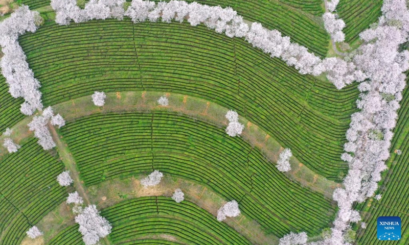 Aerial photo taken on March 16, 2022 shows a view of Fenghuanggou scenic area in Nanchang County of east China's Jiangxi Province. (Xinhua/Peng Zhaozhi)