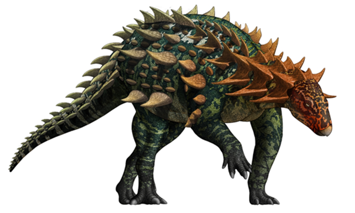 Asia's earliest known armored dinosaur fossil found in Southwest ...