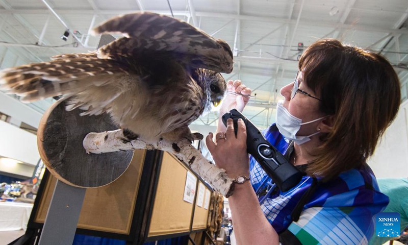 A woman checks on an owl specimen during the 2022 Toronto Sportsmen's Show in Mississauga, the Greater Toronto Area, Canada, on March 17, 2022. As the biggest event for outdoor enthusiasts in Ontario, the 2022 Toronto Sportsmen's Show is held here from March 17 to 20.(Photo: Xinhua)