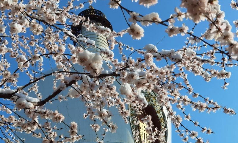 Photo taken with a mobile phone shows the snow scenery at Beihai Park in Beijing, capital of China, March 19, 2022.Photo:Xinhua