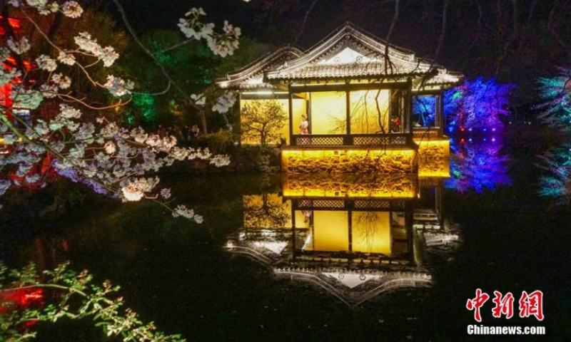 Night scenery of cherry blossoms at the Yuantouzhu (Turtle Head Isle) scenic spot in Wuxi, Jiangsu Province, March 23, 2022. The special beauty of cherry blossoms draws many viewers each year. (Photo: China News Service/Sun Quan)