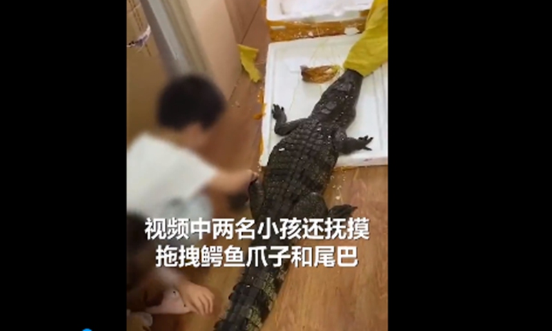Video clip of crocodile 'resurrected' after being cut down with a kitchen knife. Screenshot of The Beijing News