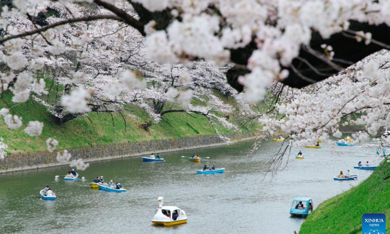 People enjoy the view of cherry blossoms along Chidorigafuchi Moat in Tokyo, Japan, on March 27, 2022. Photo: Xinhua