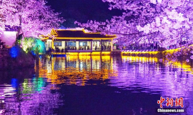 Night scenery of cherry blossoms at the Yuantouzhu (Turtle Head Isle) scenic spot in Wuxi, Jiangsu Province, March 23, 2022. The special beauty of cherry blossoms draws many viewers each year. (Photo: China News Service/Sun Quan)