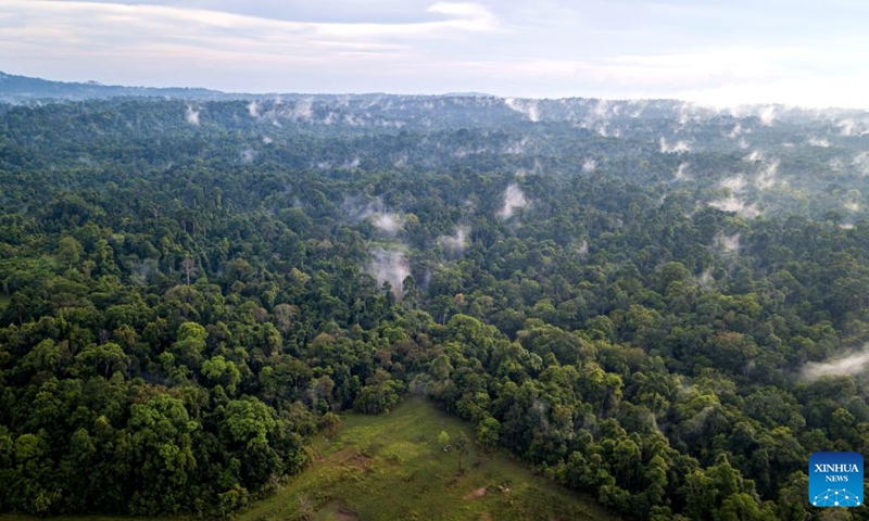 Aerial photo taken on March 21, 2022 shows forests in Khao Yai National Park, Thailand. Khao Yai National Park is the first national park in Thailand, with a total area of about 2,168 square kilometers. The annual International Day of Forests is marked on March 21.(Photo: Xinhua)