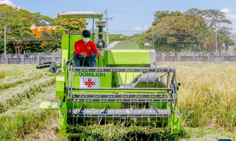 A farmer works at the Philippine-Sino Center for Agricultural Technology (PhilSCAT) in Nueva Ecija province, the Philippines on March 25, 2022. The Philippines is reaping fruits of its agricultural collaboration with China in increasing food supply and safeguarding food security in the country, Agriculture Secretary William Dar said on Friday.Photo:Xinhua