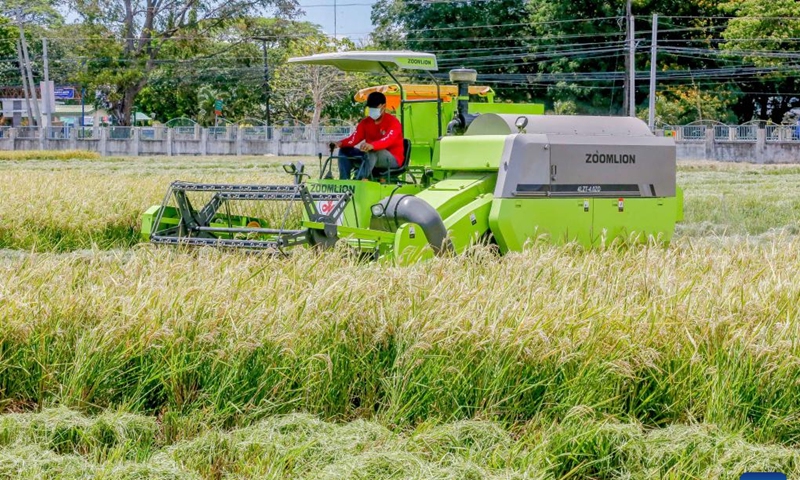 A farmer works at the Philippine-Sino Center for Agricultural Technology (PhilSCAT) in Nueva Ecija province, the Philippines on March 25, 2022. The Philippines is reaping fruits of its agricultural collaboration with China in increasing food supply and safeguarding food security in the country, Agriculture Secretary William Dar said on Friday.Photo:Xinhua
