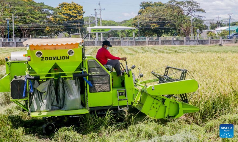 A farmer works at the Philippine-Sino Center for Agricultural Technology (PhilSCAT) in Nueva Ecija province, the Philippines on March 25, 2022. The Philippines is reaping fruits of its agricultural collaboration with China in increasing food supply and safeguarding food security in the country, Agriculture Secretary William Dar said on Friday.Photo:Xinhua