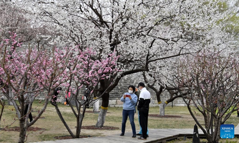 People view blooming flowers at the Beijing Ming Dynasty City Wall Relics Park in Beijing, capital of China, March 26, 2022.Photo:Xinhua