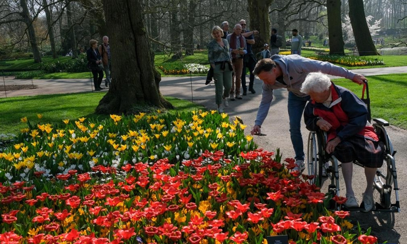 People view blooming tulips at the Keukenhof park in Lisse, the Netherlands, March 26, 2022.Photo:Xinhua
