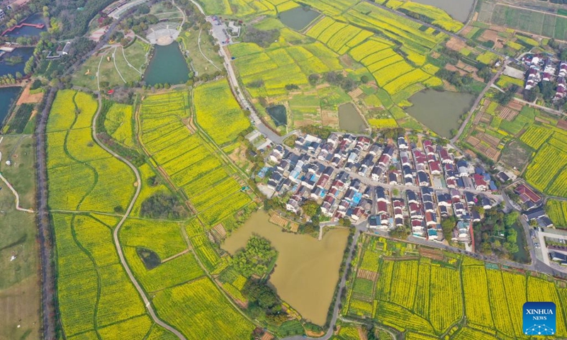 Aerial photo taken on March 28, 2022 shows the scenery of a cole flower field in Gaochun District of Nanjing, east China's Jiangsu Province.(Photo: Xinhua)