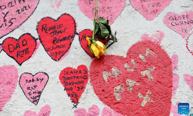 A flower is seen on the National COVID Memorial Wall in London, Britain, March 27, 2022.(Photo: Xinhua)