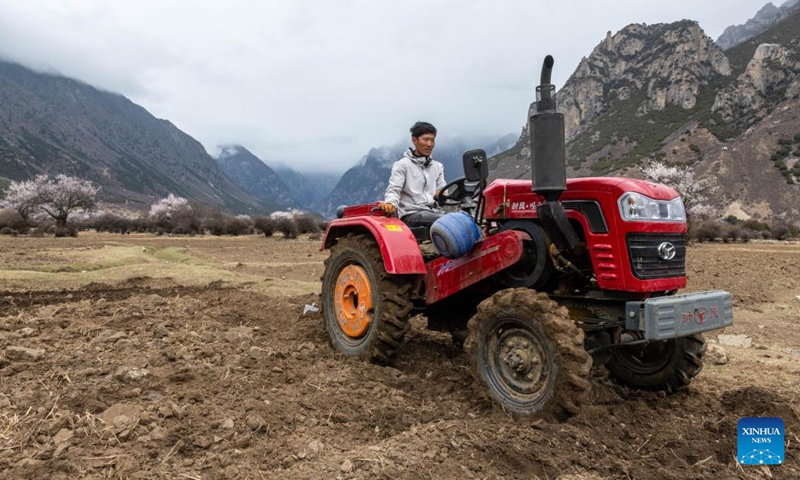 A villager attends a spring ploughing ceremony in Lhari County of Nagqu, southwest China's Tibet Autonomous Region, March 31, 2022.(Photo: Xinhua)