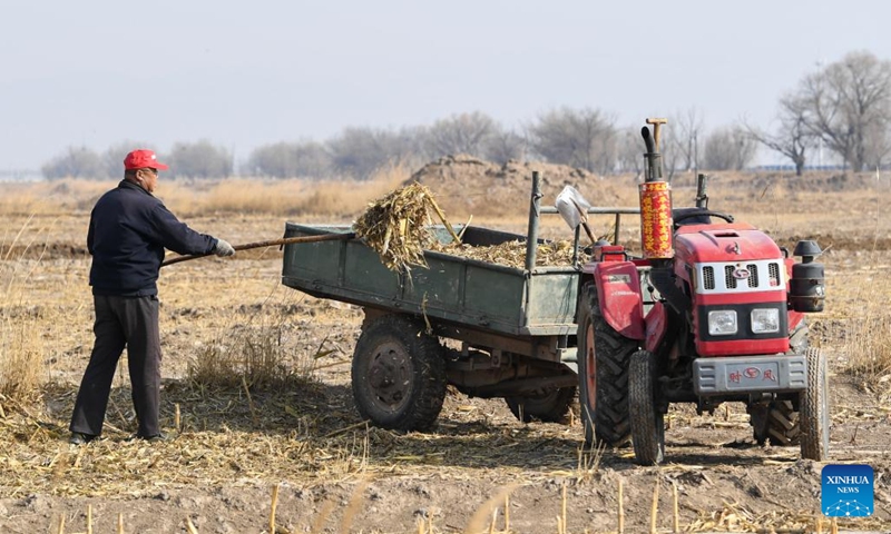 A farmer removes straw from a field in Hohhot, north China's Inner Mongolia Autonomous Region, March 30, 2022.(Photo: Xinhua)