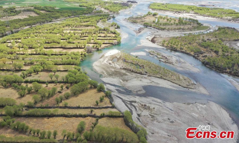 Spring scenery at Yani National Wetland Park in Nyingchi, southwest China's Tibet Autonomous Region. March 31, 2022. The Nyang River is one of the major tributaries of the Yarlung Zangbo River.Photo:China News Service