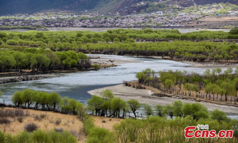 Spring scenery at Yani National Wetland Park in Nyingchi, southwest China's Tibet Autonomous Region. March 31, 2022. The Nyang River is one of the major tributaries of the Yarlung Zangbo River.Photo:China News Service