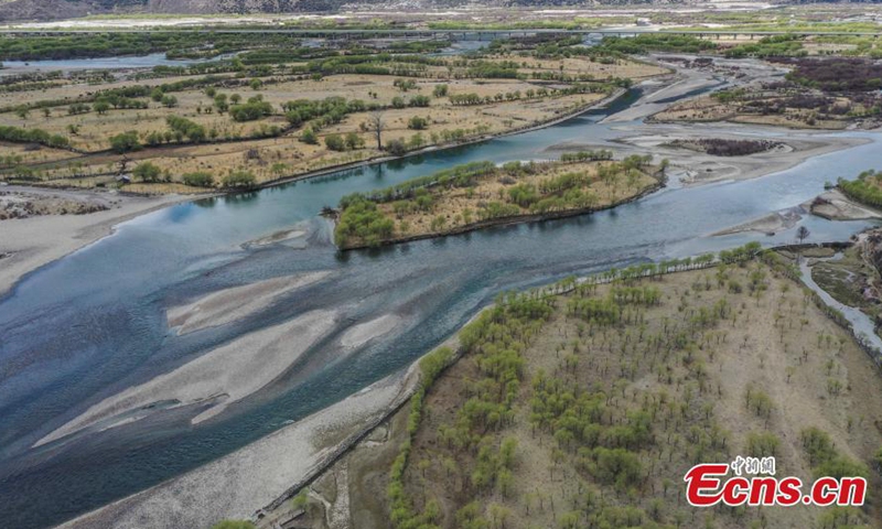 Spring scenery at Yani National Wetland Park in Nyingchi, southwest China's Tibet Autonomous Region. March 31, 2022. The Nyang River is one of the major tributaries of the Yarlung Zangbo River.Photo:China News Service