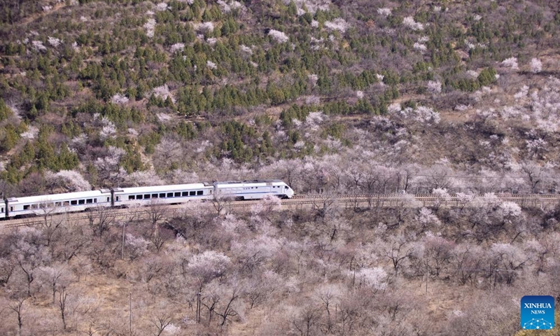 In this aerial photo, a suburban train runs amid blooming flowers near the Juyongguan section of the Great Wall in Beijing, capital of China, April 2, 2022.Photo:Xinhua