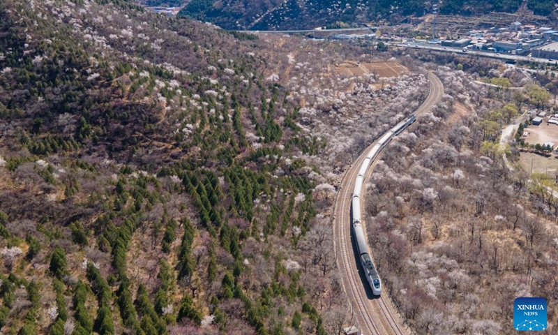 In this aerial photo, a suburban train runs amid blooming flowers near the Juyongguan section of the Great Wall in Beijing, capital of China, April 2, 2022.Photo:Xinhua