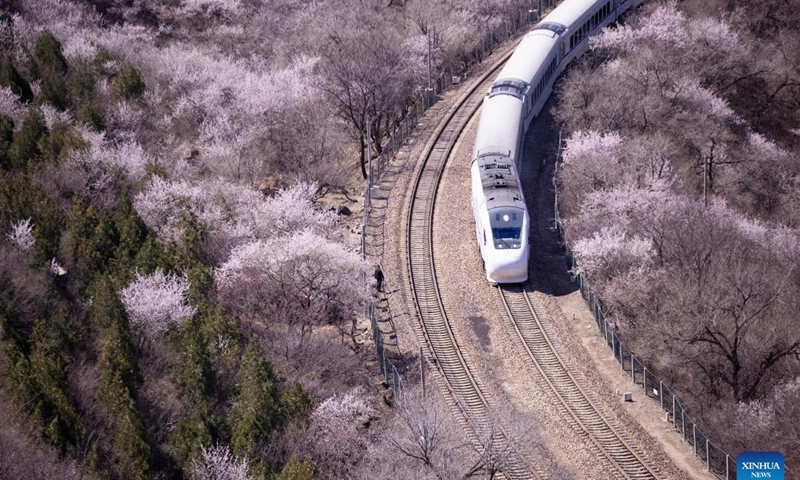 A suburban train runs amid blooming flowers near the Juyongguan section of the Great Wall in Beijing, capital of China, April 2, 2022.Photo:Xinhua