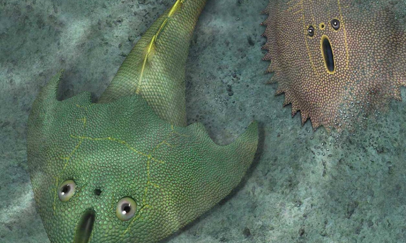 Photo: Screenshot of website